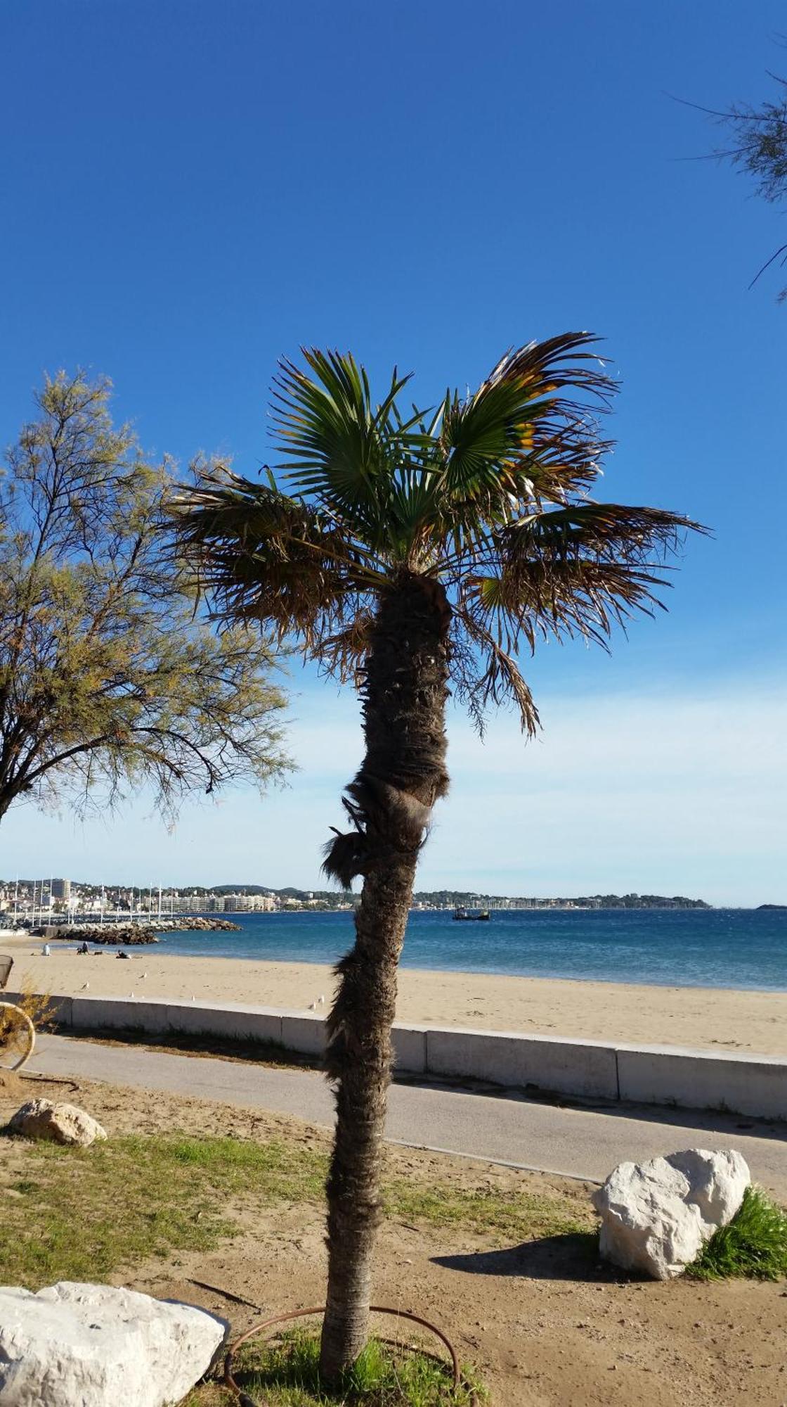 Sublime Vue Mer,Parking,Wifi Frejus Luaran gambar